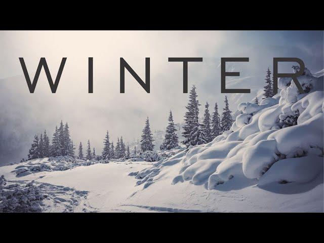 Winter Season Nature Relaxation with Beautiful Instrumental Background Music