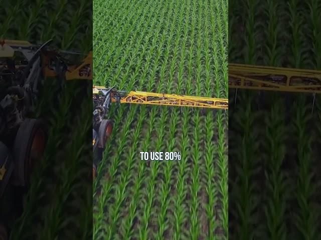Darren explains how to maximize nitrogen efficiency in corn by doing split application. #agriculture