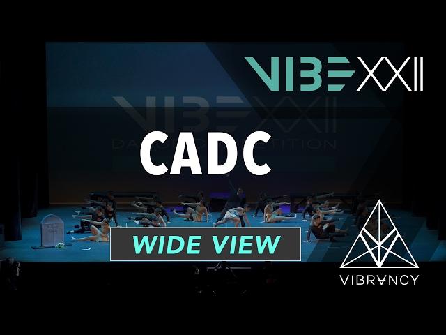 CADC | VIBE XXII 2017 [@VIBRVNCY 4K] #vibedancecomp