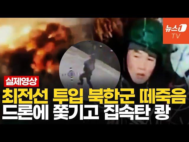 좀비처럼 돌격하다 집속탄에 당했다…美 "북한군, 쿠르스크서 수백명 사망"