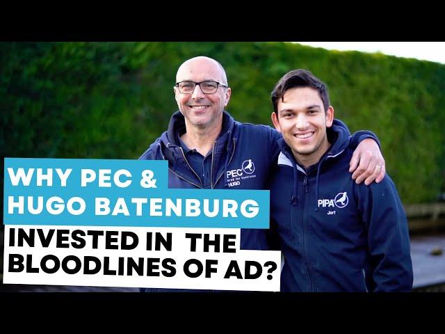 Why PIPA Elite Center and Hugo Batenburg Invested in the Exceptional Bloodlines of Ad?