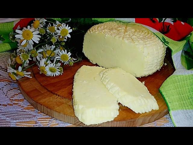 Домашний адыгейский сыр. Вкусно и не хлопотно.
