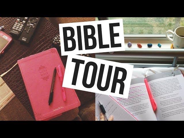 What's In My Bible! Devotionals, Notes, & More