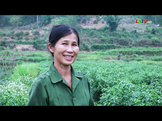 Bản tin sáng ngày 14/05/2025 | Tin tức thời sự Lạng Sơn hôm nay | LSTV
