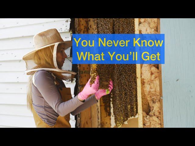 Do Not Make Your Own Bee Suit