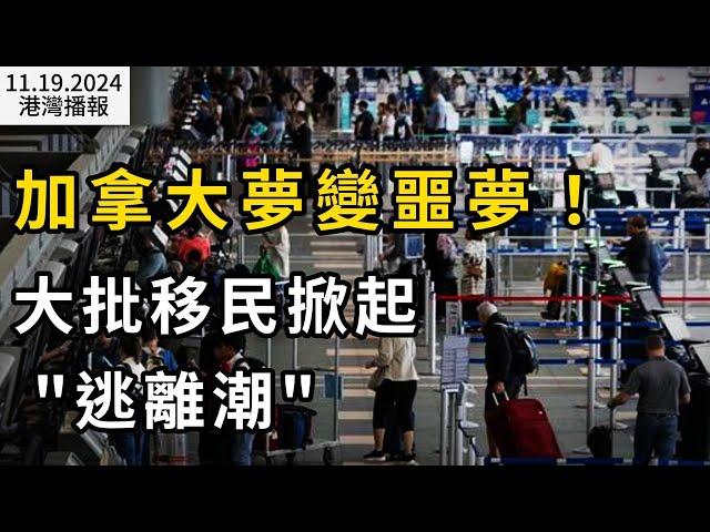 "災難之地"! 加拿大移民"創紀錄"逃離；加拿大10月份通脹率漲2% 蔬菜水果價格猛漲；130萬人圍觀! 難民每天食宿費再上熱搜 網友怒火中燒（《港灣播報》20241119-1 CACC）