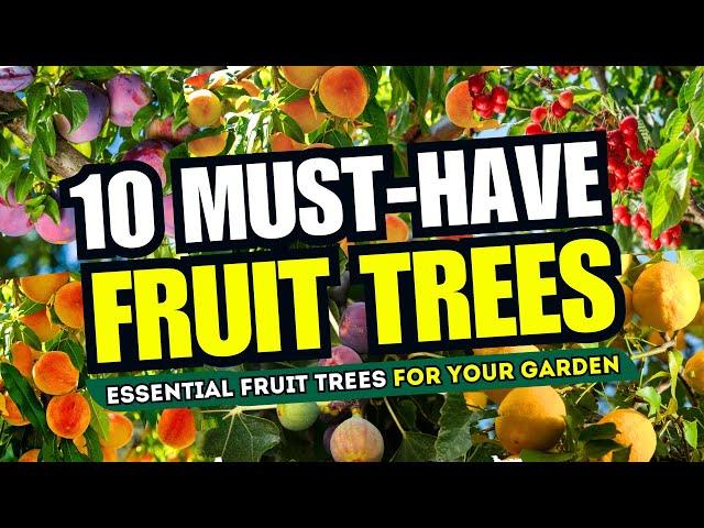  10 MUST HAVE Fruit Trees for YOUR Garden  GROW YOUR OWN! 