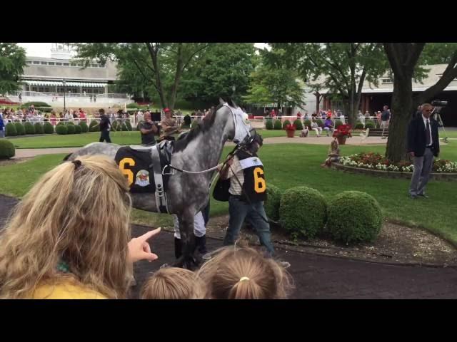 A Day at Arlington International Racecourse (Arlington Park) in Arlington Heights, Illinois