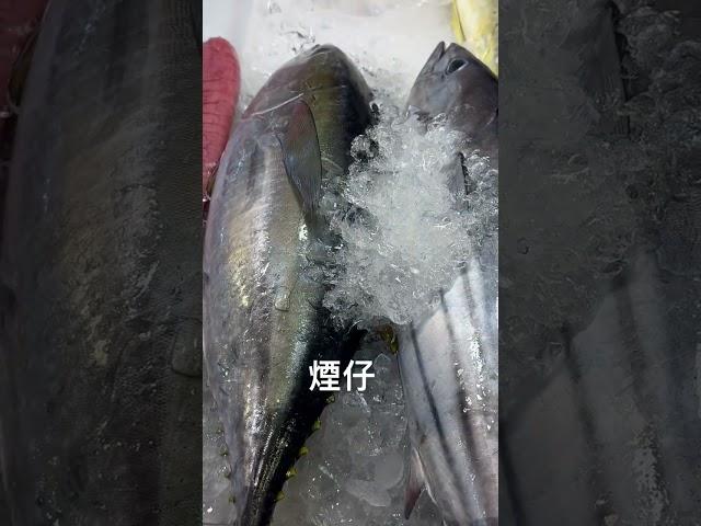 要吃海鮮要會選，隨我來啊！