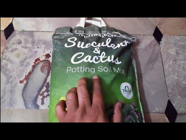 Trust Basket Succulent and Cactus Potting Soil Mix