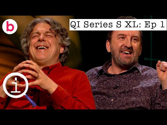 QI Series S XL Episode 1 FULL EPISODE | With Maisie Adam, Jo Brand & Lee Mack