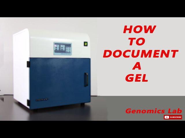 How to document the gel? Revised Version