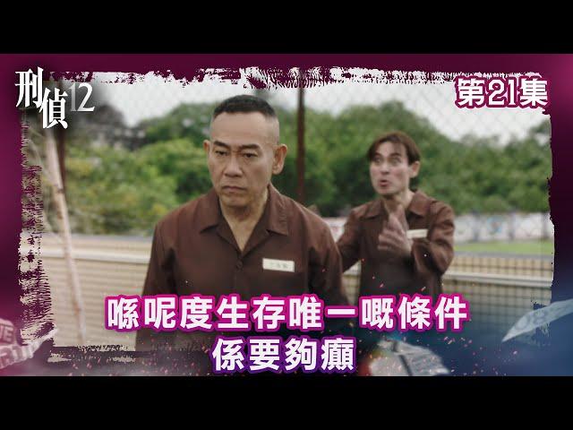 刑偵12｜喺呢度生存唯一嘅條件 係要夠癲｜第20集精華｜警匪｜懸疑｜#TVBUSA #TVB港劇精華