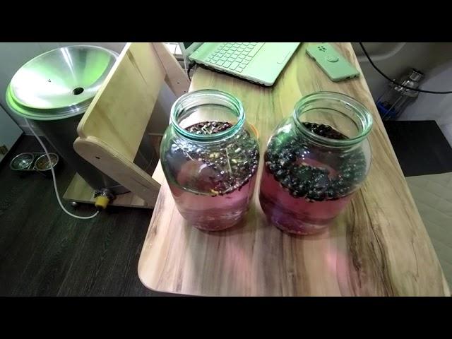 Смородина и Клюква. Настойки Алтайский Винокур.