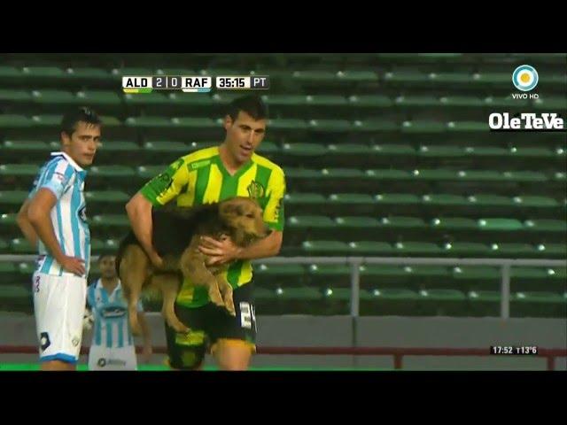 Un Perro Entra A La Cancha A Cabecear Un Centro | Aldosivi v Atletico Rafaela