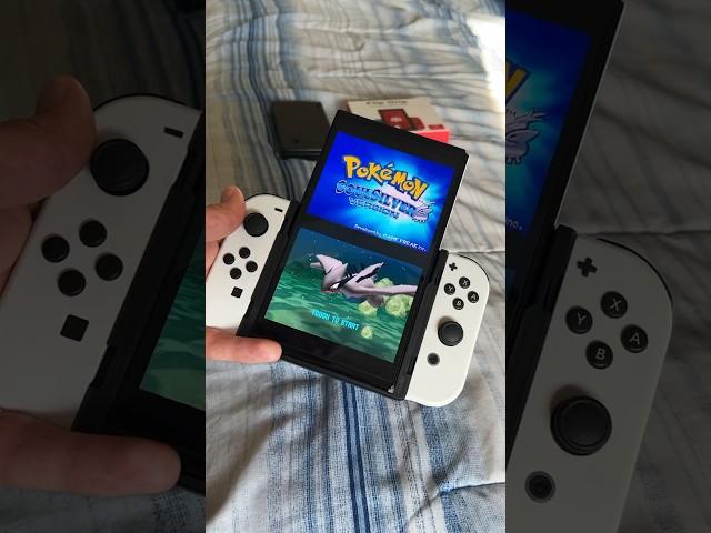 The BEST Way To Play DS Games! 