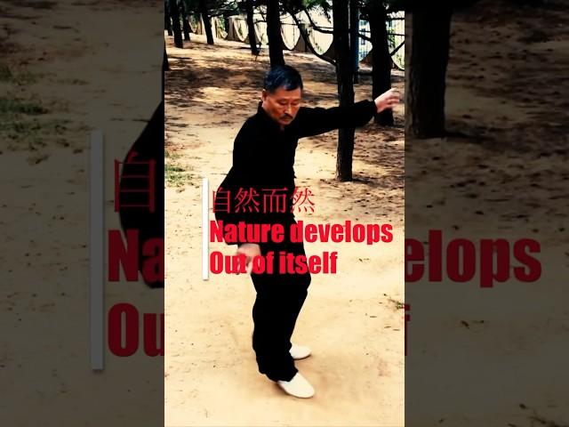 #ziranmen the art without intent. #kinetics #martialart #kungfu #mindfulness #wushu #china