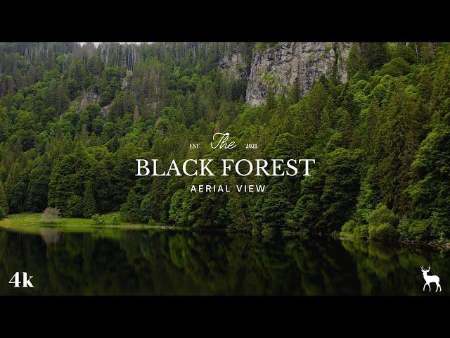 Black Forest Germany & Austria Nature, 4K Ultra High Definition.