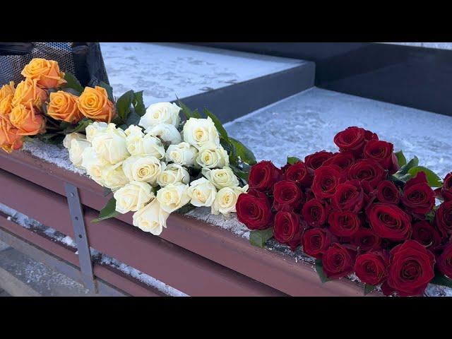 ПРОГУЛКА ПО КЛАДБИЩУ _ ЛЁВКИН ЗАВОРОТНЮК ДОБРОВОЛЬСКАЯ ШАТУНОВ ДОБРЫНИН ... ТРОЕКУРОВСКОЕ 18.02.2025