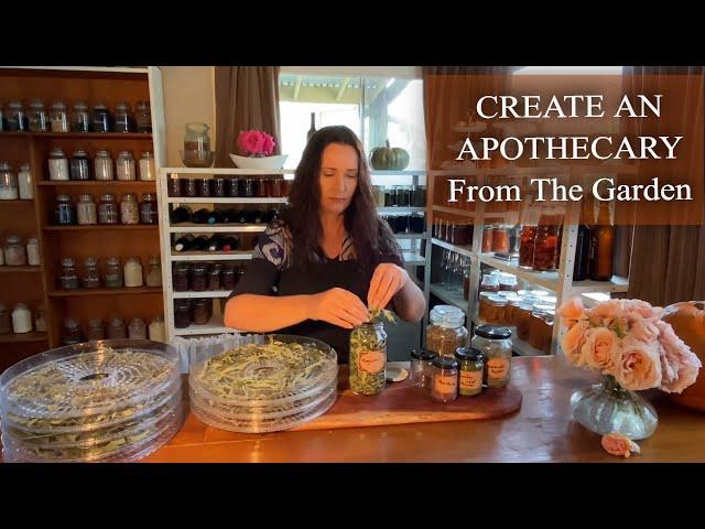 Creating An Apothecary From The Garden / Homesteading / Herbal Medicine Herbs