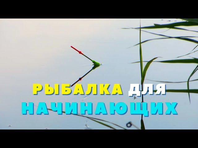 ЛОВЛЯ На УДОЧКУ! Рыбалка на УДОЧКУ Для Начинающих!