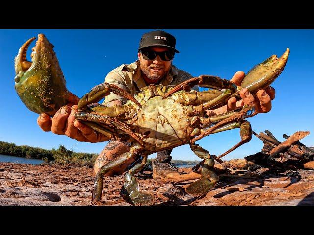 ATRAPANDO Y COCINANDO UN CANGREJO DE BARRO GIGANTE - SIN COMIDA