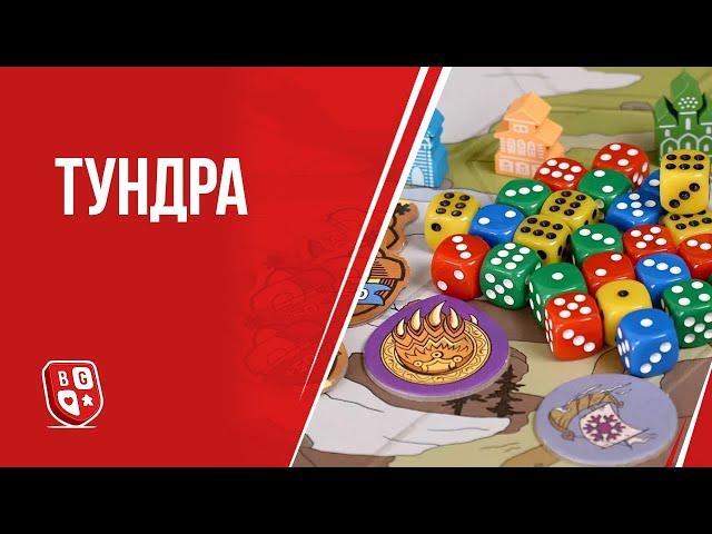 Обзор настольной игры Тундра