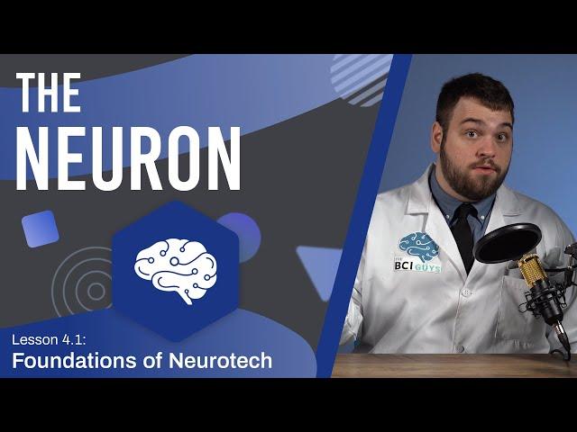 The Neuron - Structure and Function - Neuroscience - Lesson 4.2