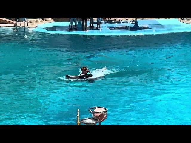 Egypt Hurgada Delfinarium