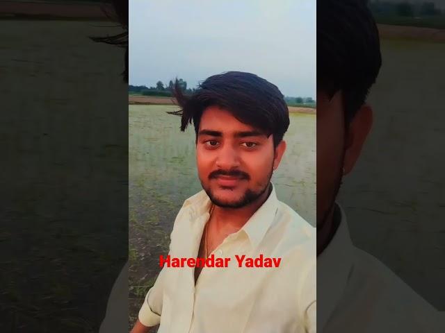 harendar Yadav 1247
