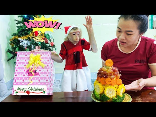 Monkey Lyly unexpectedly received a Christmas gift with all the love from her mother