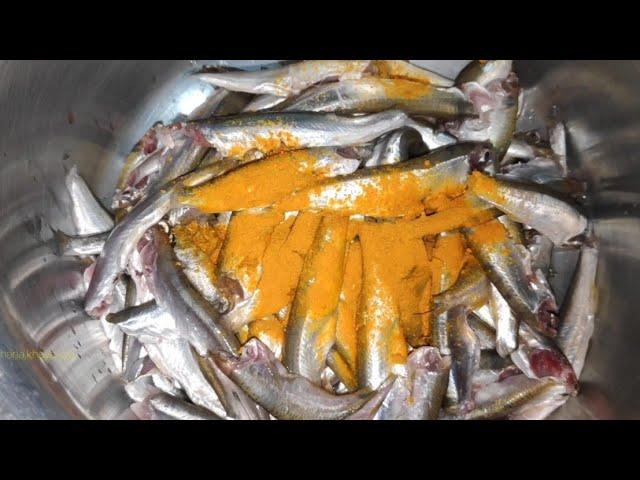 Delicious Oil Free Small Fish Recipe | Fish Recipe | Aligarh Street Food | Khana Khaya Kya