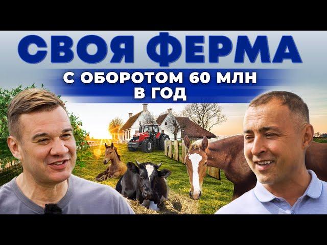 Животноводство может быть выгодным! Как содержатся лошади и быки в Татарстане? Андрей Даниленко