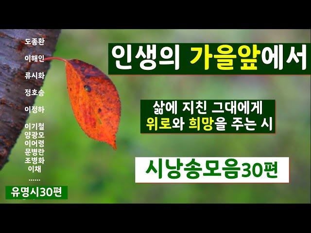 [시낭송모음]애송시모음#삶과인생 #위로와ㅣ희망의시30편 (낭송:봉경미/음악:손방원팬플룻)인생의 가을앞에서