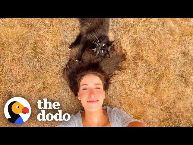 Woman Tries For 3 Years To Win Over Feral Cat | The Dodo