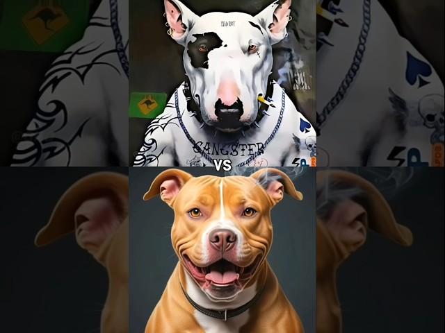 BULL TERRIER VS PITBULL TERRIER, ROTTWEILER, TIBETAN MASTIFF, BULLDOG (WHO IS BEST FIGHTER DOG)