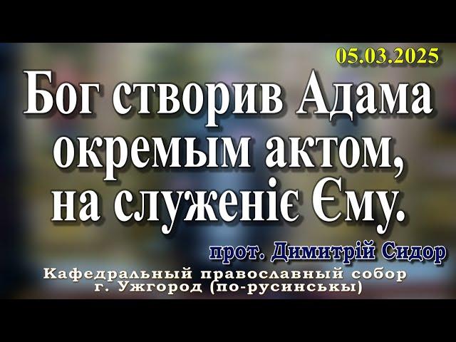 Бог створив Адама окремым актом, на служеніє Єму.05.03.2025, прот. Димитрій Сидор