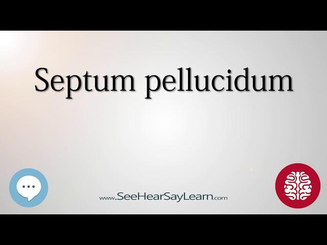 Septum pellucidum   Anatomy of the Brain   SeeHearSayLearn 