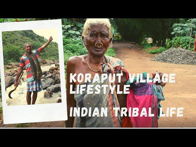 Koraput Village Life in Odisha | Koraput Adivasi | Indian Rural Life