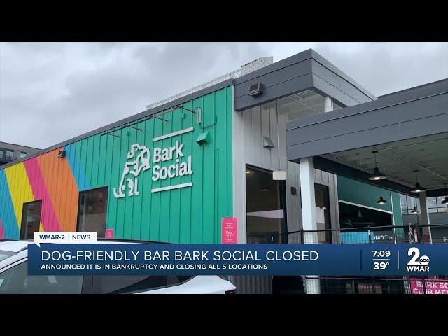 Bark Social says it will close permanently, enter bankruptcy