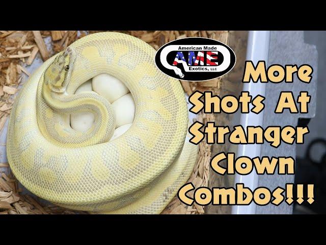 More Shots At Stranger Clown Combos!!!  v65 AME