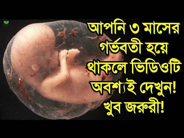 আপনি তিন মাসের গর্ভবতী হলে এই কাজগুলো ভুলেও করবেন না | ৩ মাসের গর্ভবতীদের সতর্কতা | 3 month pregnant