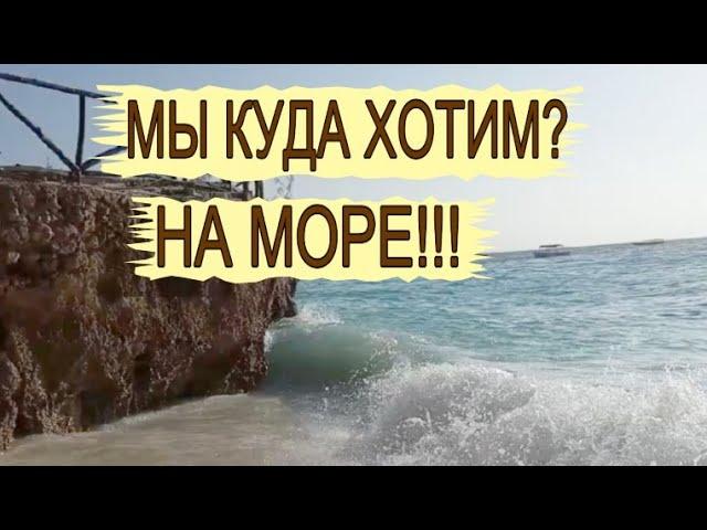 Куда хочу? На море! #shorts Не важно какое. Индийский океан или отдых в Сочи. Песня о море классная