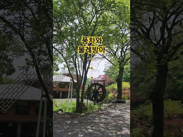#풍차 #물레방아#조경 #정원꾸미기 #가든 #여유로운 #행복 #식물 #나무심기 #정원 #행복 #garden #flowers #무릉도원