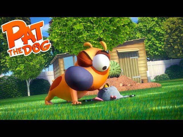 Pat the Dog - Compilation #8