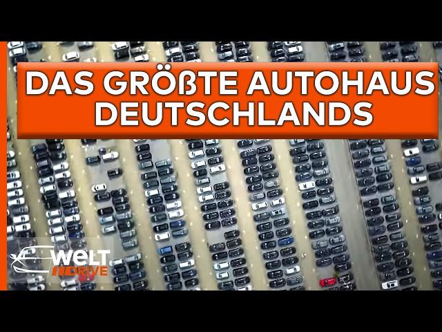 AUTO-PARADIES DEUTSCHLAND: Das ist der größte Autotempel: An- und Verkauf im Minutentakt!| WELT DOKU