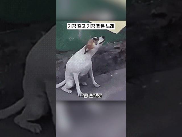 세상에서 가장 긴 노래와 가장 짧은 노래