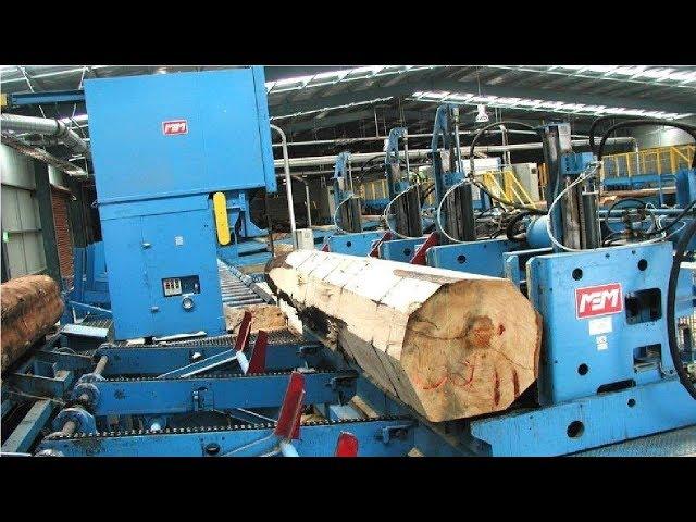 EXTREME Automatic Wood Sawmill Machine Modern Technology - Fastest Wood Cutting Machines