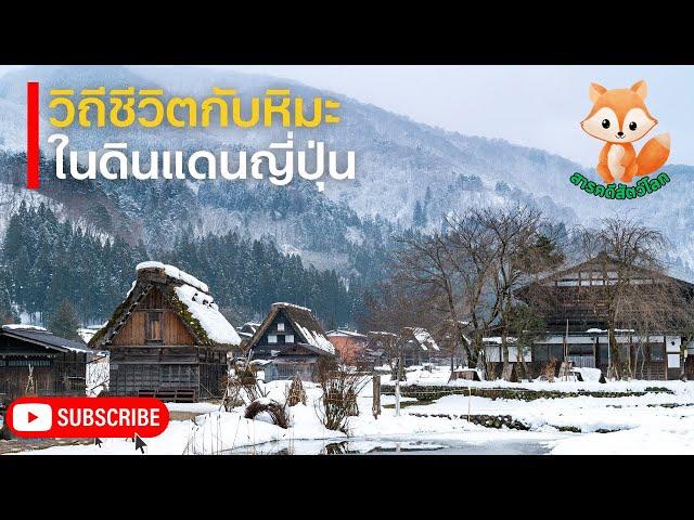 สารคดีสัตว์โลก ซาโตะยามะ นีงาตะ ตอน วิถีชีวิตกับหิมะในญี่ปุ่น | สารคดีสัตว์ สารคดี ใหม่ล่าสุด