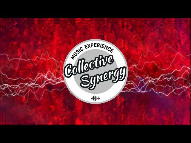 Collective Synergy No.69 | Melodic & Progressive House Music | DJ Session | 2024